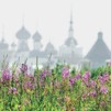 Фото Михаил Скрипкин, Туманное утро / «Пока цветет иван-чай»