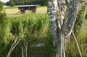 Монастырский сенокос