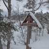 Апрель в Голфгофо-Распятском скиту