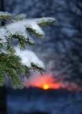 Публикации о Соловках
