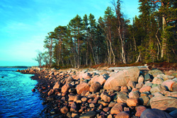 Власти Соловков выделят до конца года 14,6 млн руб на уборку мусора с острова