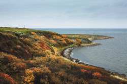 На Соловках пройдёт координационный совет глав муниципальных образований