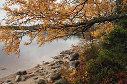 На Соловках прошли выборы главы местного муниципалитета