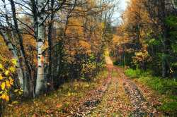 Коммюнике соловецкой научно-практической конференции