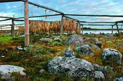 В Кондопоге прошла выставка «Соловки – острова Преображения»