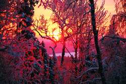 Архангельской области пройдет пресс-тур для журналистов и представителей турагентств