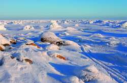 Электрокабель могут провести на Соловки по дну Белого моря
