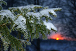 Фото Михаил Скрипкин, В Архангельской области появилась туристская карта-схема региона