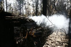 Фото Валерий Гречихин, Лесной пожар на Соловках ликвидирован