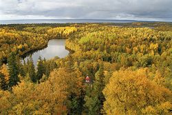 Фото С. Веретенников, В правительстве Архангельской области прошло совещание «пяти ключей»