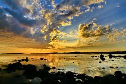 В Ярославле открываются «Дни Соловков»